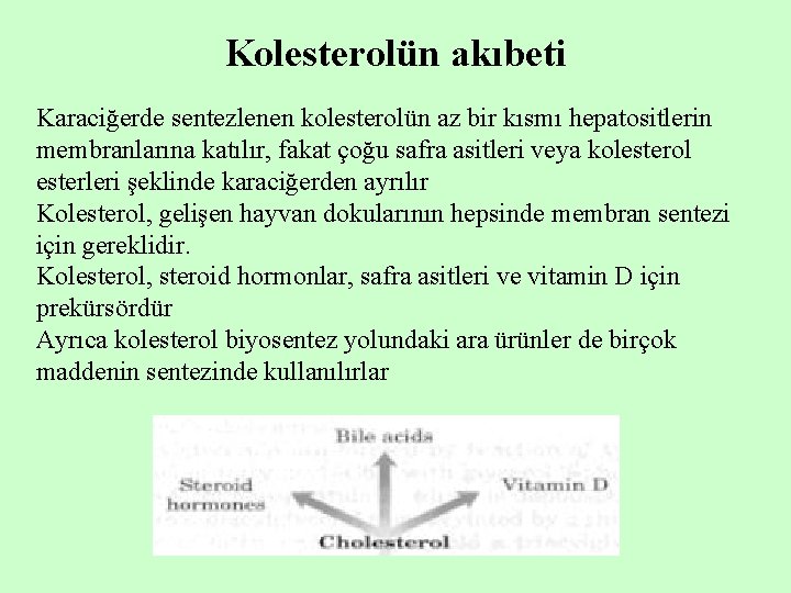 Kolesterolün akıbeti Karaciğerde sentezlenen kolesterolün az bir kısmı hepatositlerin membranlarına katılır, fakat çoğu safra