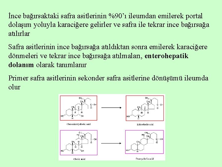 İnce bağırsaktaki safra asitlerinin %90’ı ileumdan emilerek portal dolaşım yoluyla karaciğere gelirler ve safra