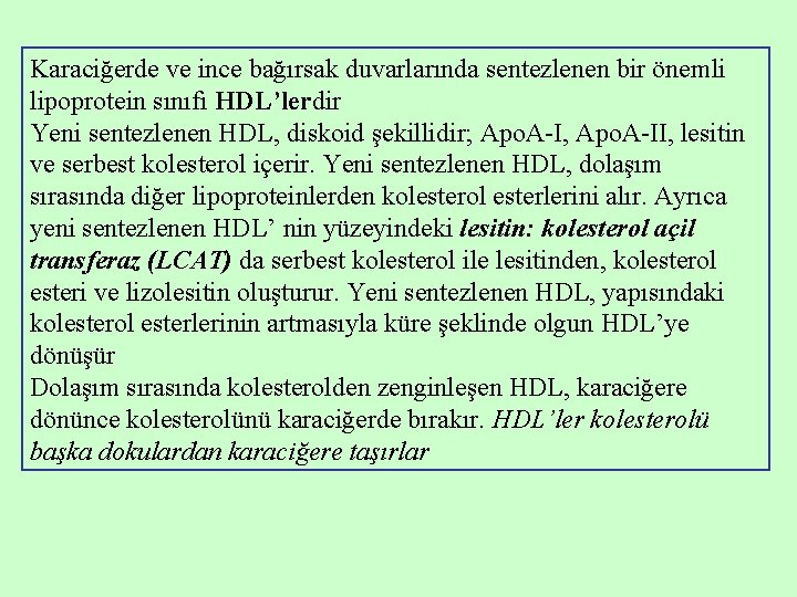 Karaciğerde ve ince bağırsak duvarlarında sentezlenen bir önemli lipoprotein sınıfı HDL’lerdir Yeni sentezlenen HDL,