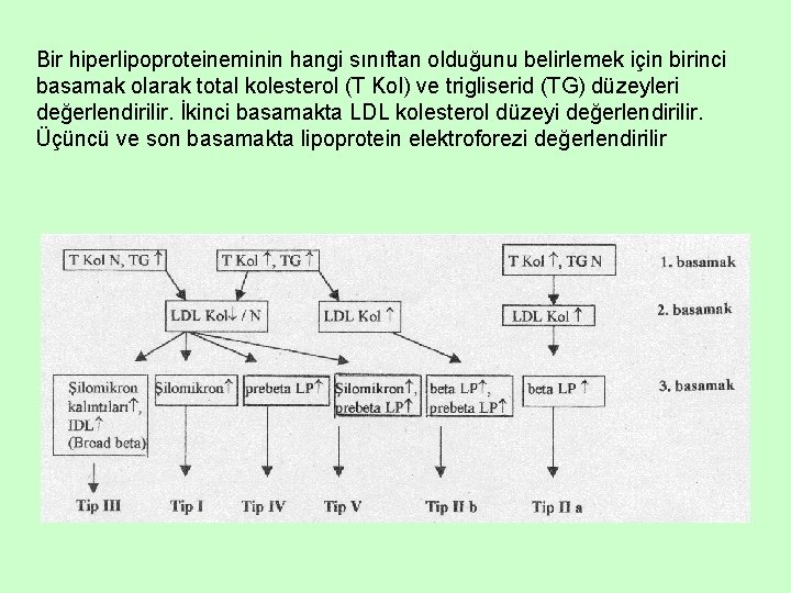 Bir hiperlipoproteineminin hangi sınıftan olduğunu belirlemek için birinci basamak olarak total kolesterol (T Kol)