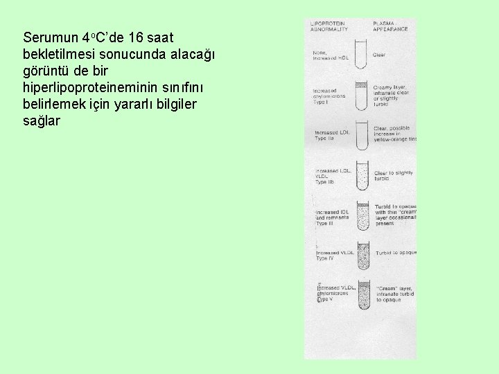 Serumun 4 o. C’de 16 saat bekletilmesi sonucunda alacağı görüntü de bir hiperlipoproteineminin sınıfını