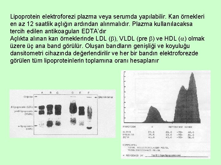 Lipoprotein elektroforezi plazma veya serumda yapılabilir. Kan örnekleri en az 12 saatlik açlığın ardından