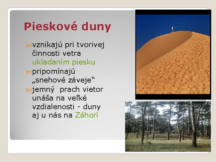 Pieskové duny vznikajú pri tvorivej činnosti vetra ukladaním piesku pripomínajú „snehové záveje“ jemný prach