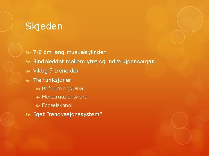 Skjeden 7 -8 cm lang muskelsylinder Bindeleddet mellom ytre og indre kjønnsorgan Viktig å