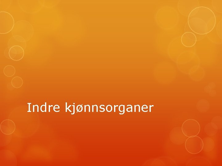 Indre kjønnsorganer 