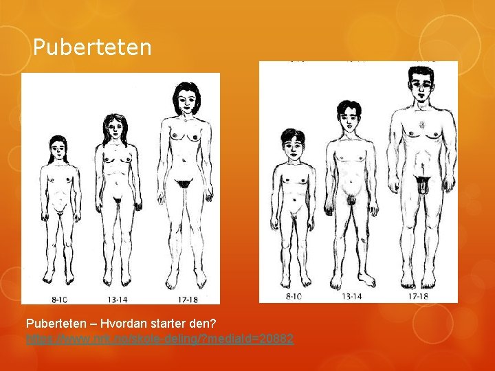 Puberteten – Hvordan starter den? https: //www. nrk. no/skole-deling/? media. Id=20882 