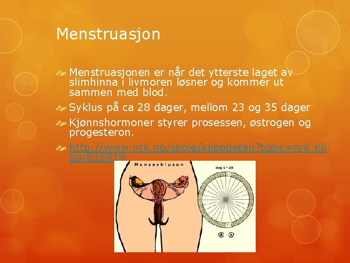 Menstruasjon Menstruasjonen er når det ytterste laget av slimhinna i livmoren løsner og kommer