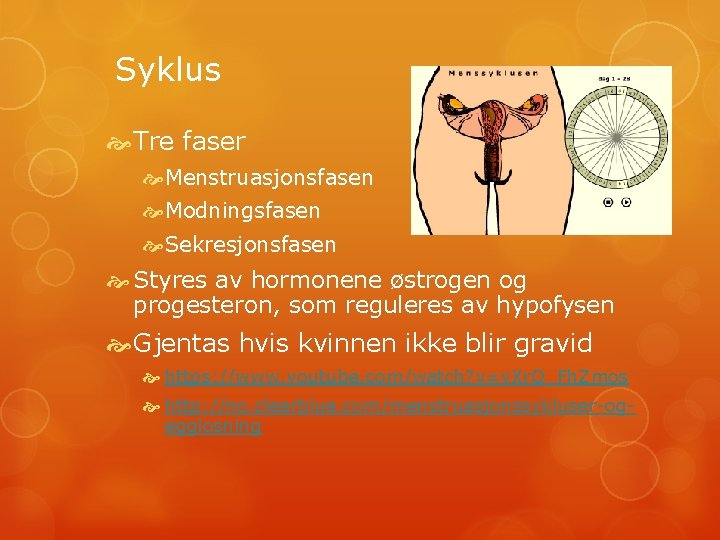 Syklus Tre faser Menstruasjonsfasen Modningsfasen Sekresjonsfasen Styres av hormonene østrogen og progesteron, som reguleres