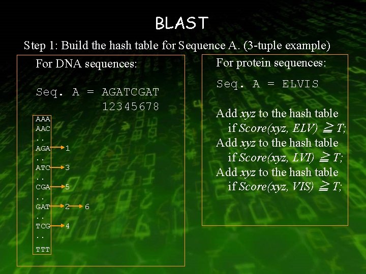 BLAST Step 1: Build the hash table for Sequence A. (3 -tuple example) For