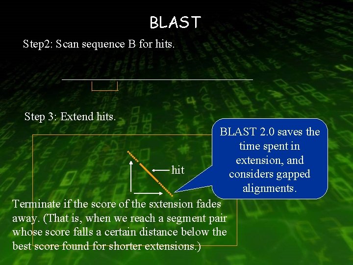 BLAST Step 2: Scan sequence B for hits. Step 3: Extend hits. BLAST 2.