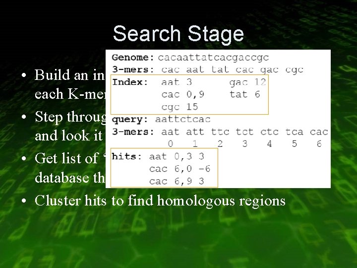 Search Stage • Build an index which contains positions of each K-mer in database.