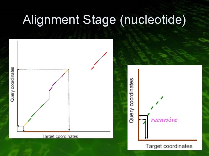 Alignment Stage (nucleotide) recursive 