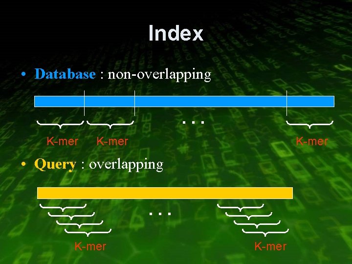 Index • Database : non-overlapping … K-mer • Query : overlapping … K-mer 