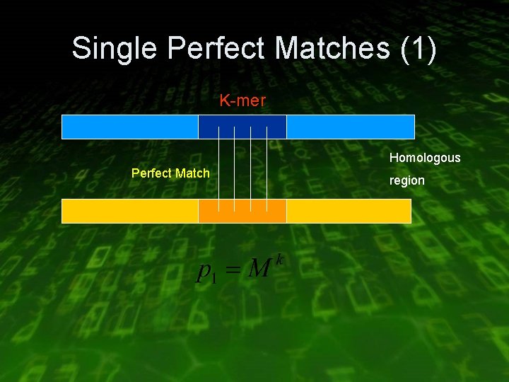 Single Perfect Matches (1) K-mer Homologous Perfect Match region 
