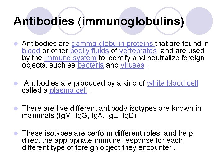 Antibodies (immunoglobulins) l Antibodies are gamma globulin proteins that are found in blood or