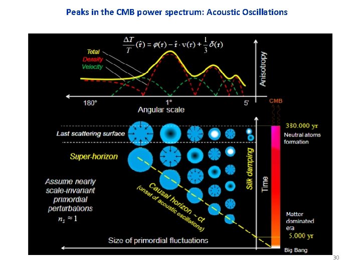 Peaks in the CMB power spectrum: Acoustic Oscillations 30 