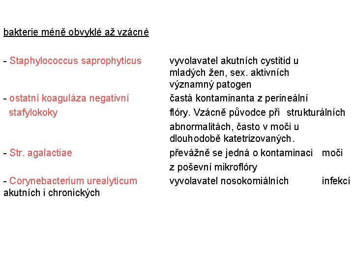 bakterie méně obvyklé až vzácné - Staphylococcus saprophyticus - ostatní koaguláza negativní stafylokoky -