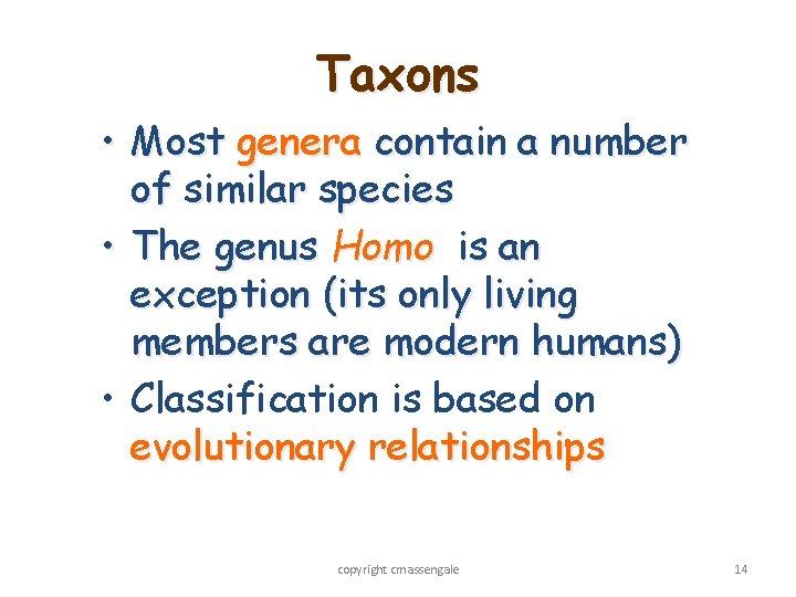 Taxons • Most genera contain a number of similar species • The genus Homo
