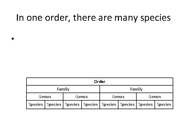 In one order, there are many species • Order Family Genus Species Species 