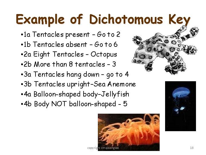 Example of Dichotomous Key • 1 a Tentacles present – Go to 2 •