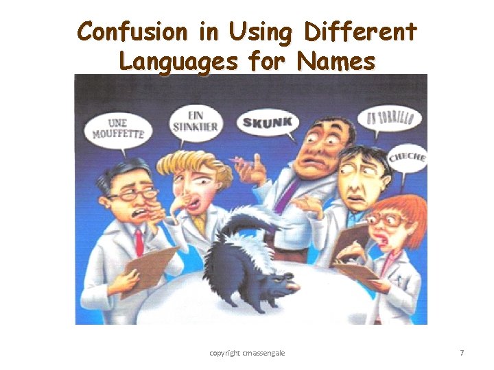 Confusion in Using Different Languages for Names copyright cmassengale 7 