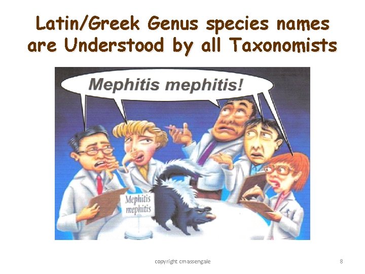 Latin/Greek Genus species names are Understood by all Taxonomists copyright cmassengale 8 