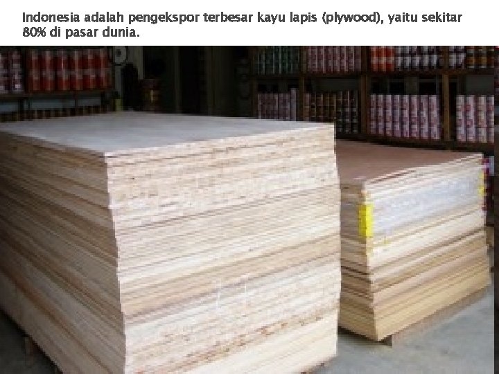 Indonesia adalah pengekspor terbesar kayu lapis (plywood), yaitu sekitar 80% di pasar dunia. 