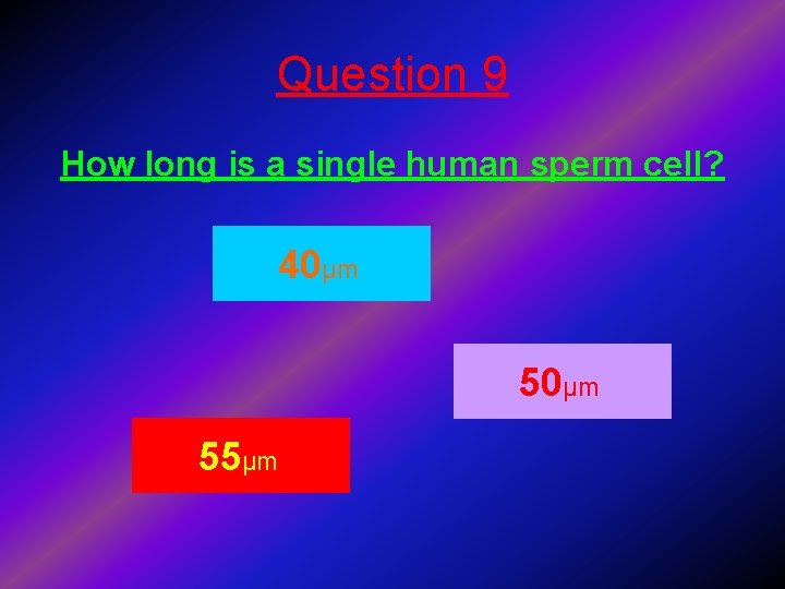 Question 9 How long is a single human sperm cell? 40μm 55μm 