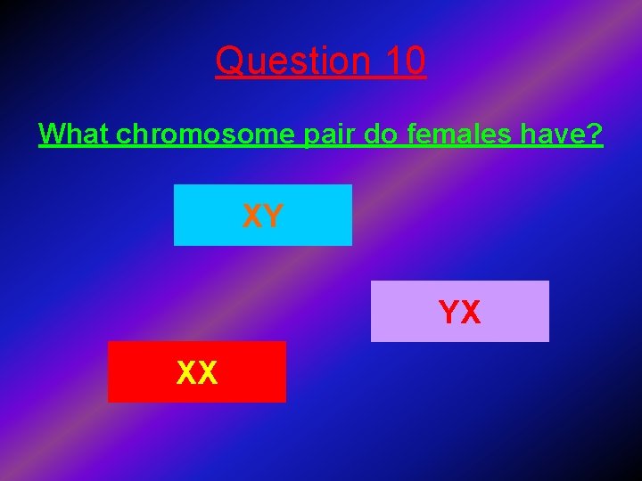 Question 10 What chromosome pair do females have? XY YX XX 