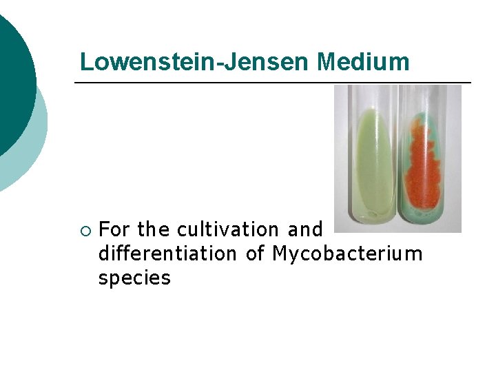 Lowenstein-Jensen Medium ¡ For the cultivation and differentiation of Mycobacterium species 