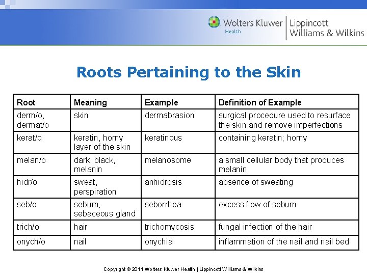 Roots Pertaining to the Skin Root Meaning Example Definition of Example derm/o, dermat/o skin