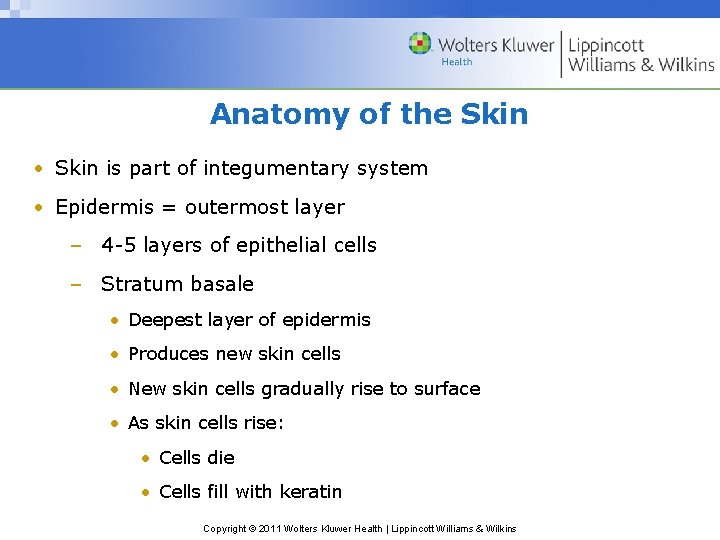 Anatomy of the Skin • Skin is part of integumentary system • Epidermis =