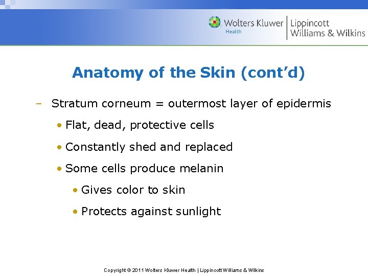 Anatomy of the Skin (cont’d) – Stratum corneum = outermost layer of epidermis •