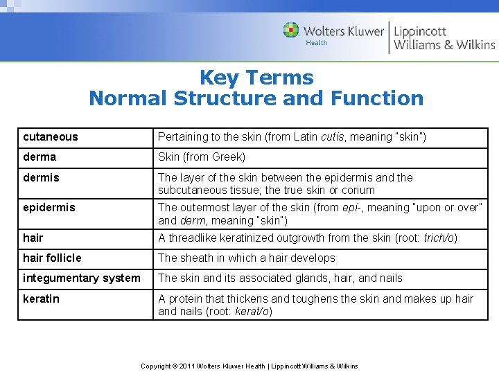 Key Terms Normal Structure and Function cutaneous Pertaining to the skin (from Latin cutis,