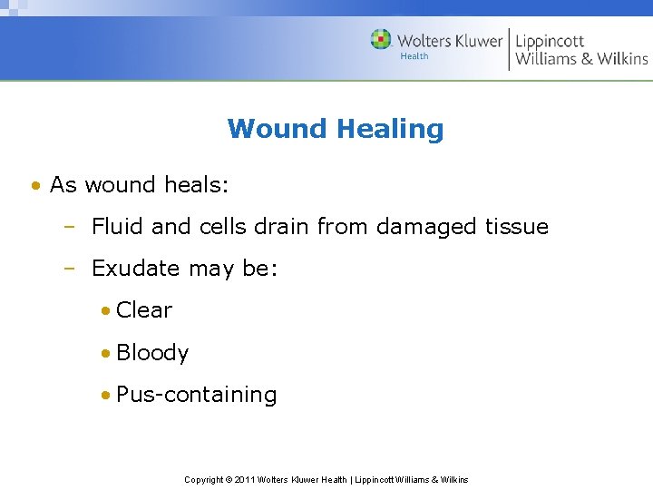 Wound Healing • As wound heals: – Fluid and cells drain from damaged tissue