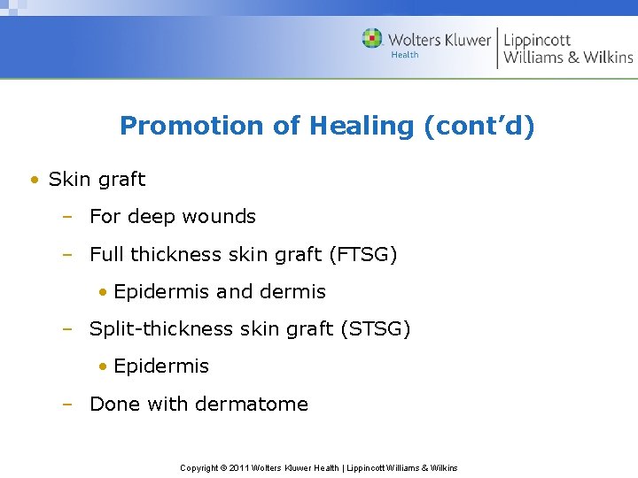 Promotion of Healing (cont’d) • Skin graft – For deep wounds – Full thickness