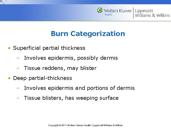 Burn Categorization • Superficial partial thickness – Involves epidermis, possibly dermis – Tissue reddens,