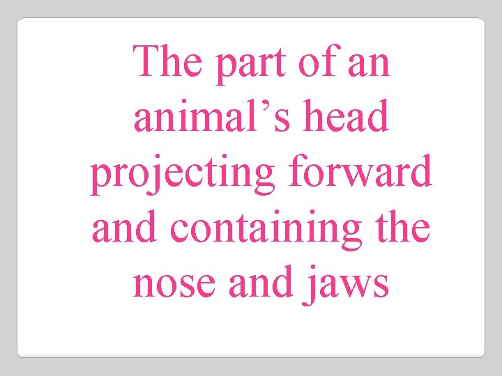 The part of an animal’s head projecting forward and containing the nose and jaws