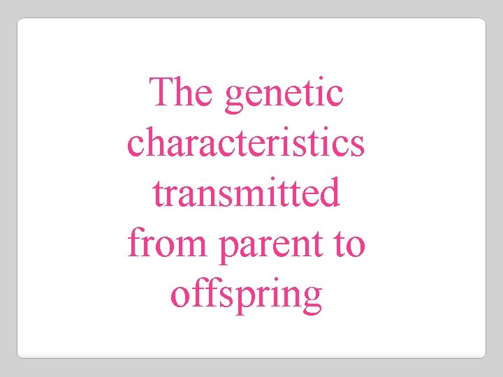 The genetic characteristics transmitted from parent to offspring 