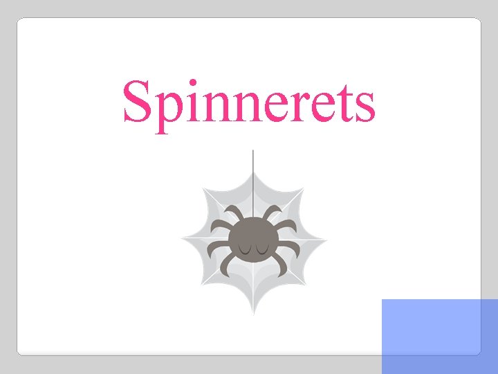 Spinnerets 