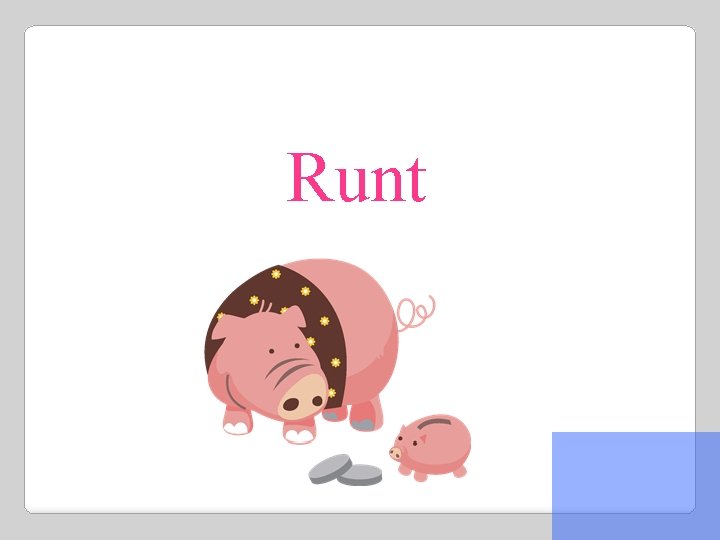 Runt 