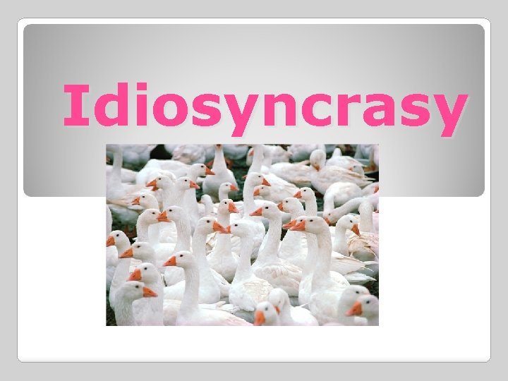 Idiosyncrasy 