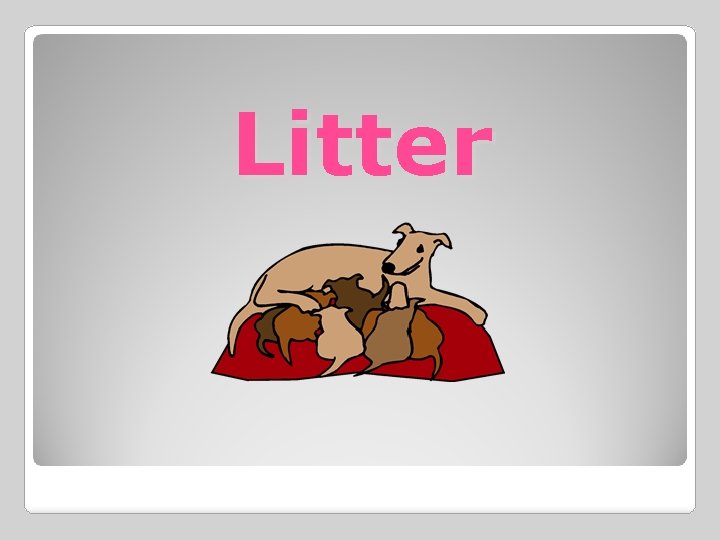 Litter 