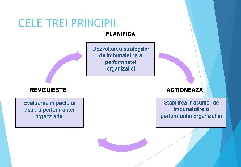 CELE TREI PRINCIPII PLANIFICA Dezvoltarea strategiilor de imbunatatire a performnatei organizatiei REVIZUIESTE Evaluarea impactului