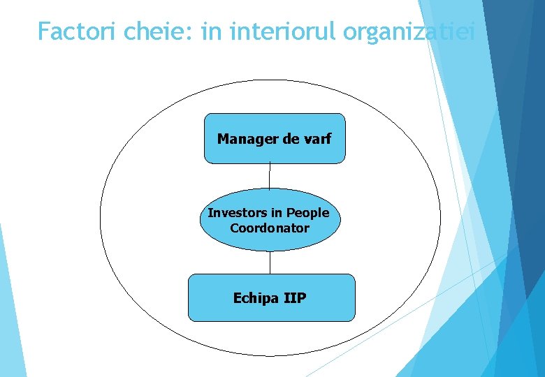 Factori cheie: in interiorul organizatiei Manager de varf Investors in People Coordonator Echipa IIP