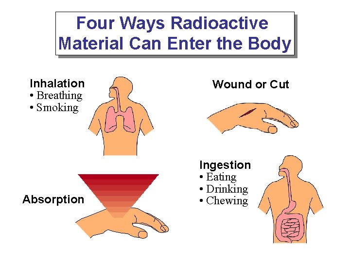 Four Ways Radioactive Material Can Enter the Body Inhalation • Breathing • Smoking Absorption