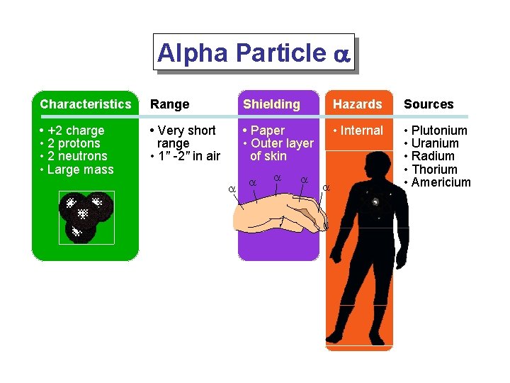 Alpha Particle a Characteristics Range Shielding Hazards Sources • +2 charge • 2 protons