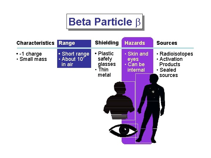 Beta Particle b Characteristics Range Shielding Hazards Sources • -1 charge • Small mass