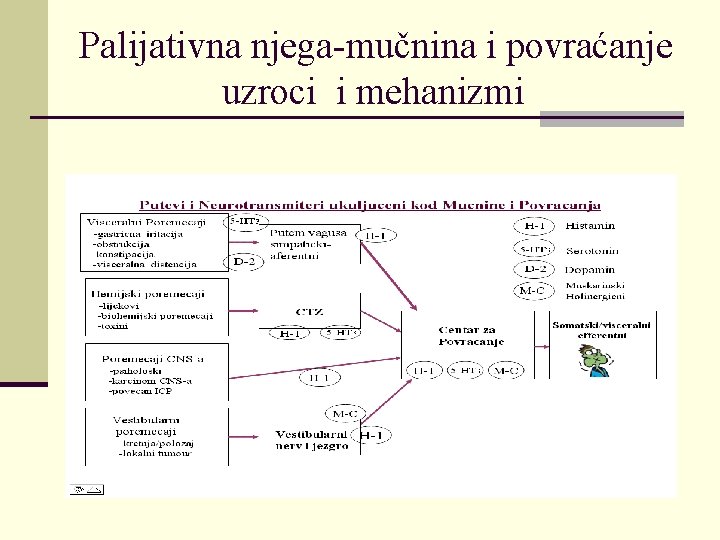 Palijativna njega-mučnina i povraćanje uzroci i mehanizmi 