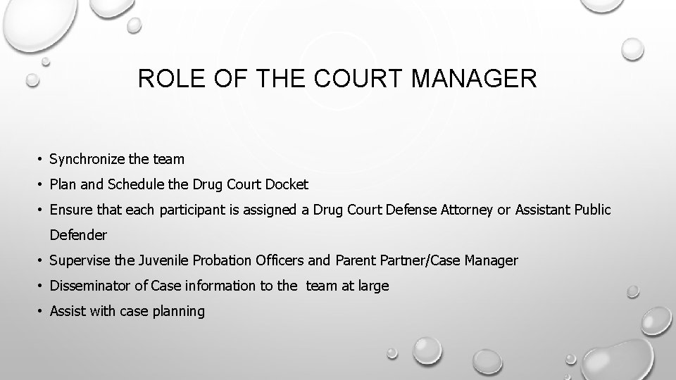 ROLE OF THE COURT MANAGER • Synchronize the team • Plan and Schedule the